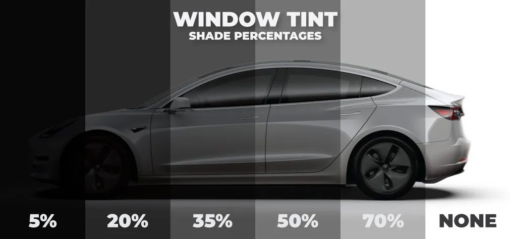 Tesla Window Tinting Services in Louisville, KY